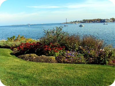 Picture of garden bed overlooking Marblehead Harbor and Lighthouse
