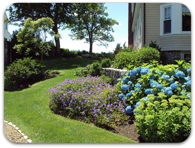 Picture of cut grass, cleaned blooming flowerbed, peastone walkway