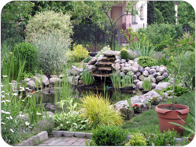 Picture of a reflection pond