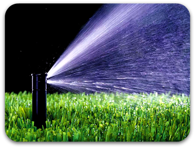 Picture of Inground rainbird sprinkler head